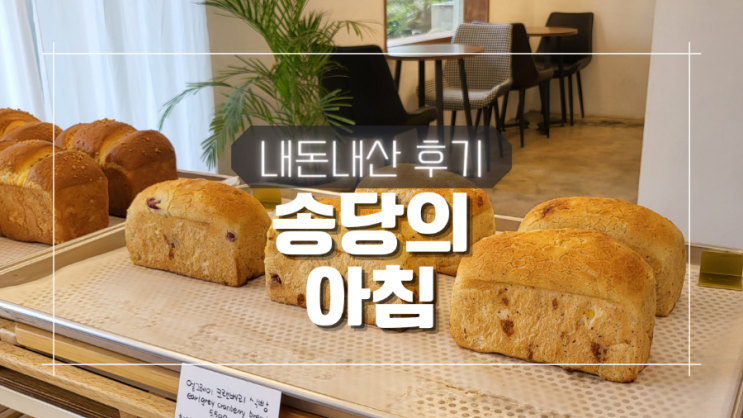 제주 구좌읍 빵집 송당의 아침 내돈내산 후기 + 주차