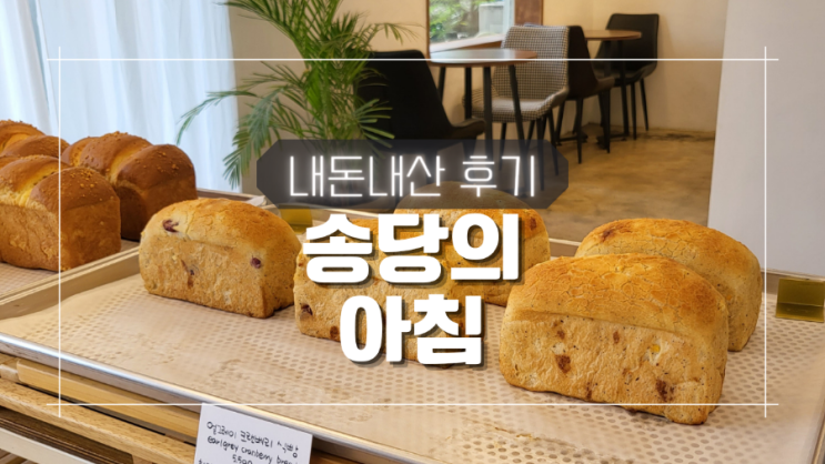 제주 구좌읍 빵집 송당의 아침 내돈내산 후기 + 주차 제주 구좌읍 빵집 송당의 아침 내돈내산 후기 + 주차