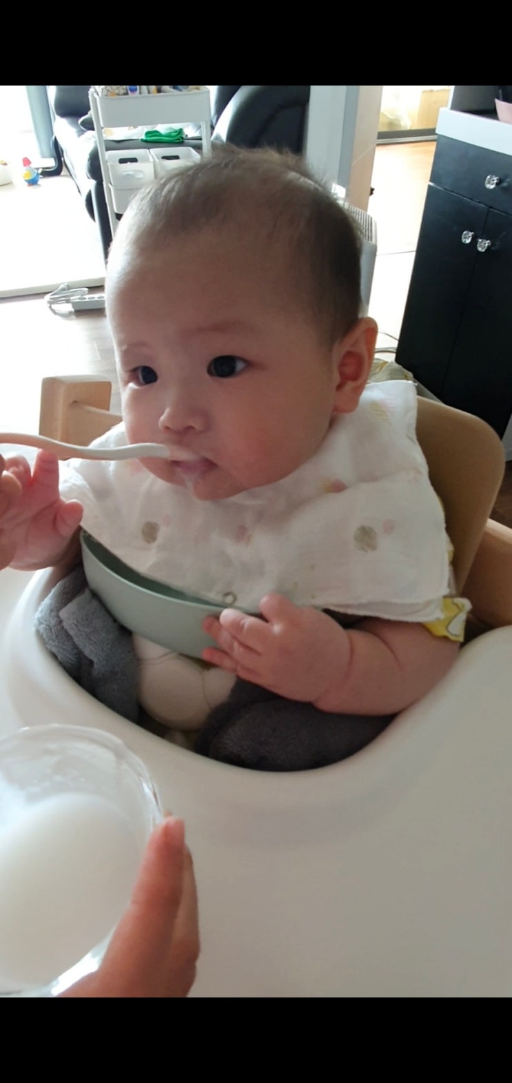  [이유식] 6개월 180일부터 이유식 시작하기 준비물 총정리 1편 (feat.인간의 욕심은 끝이 없고)