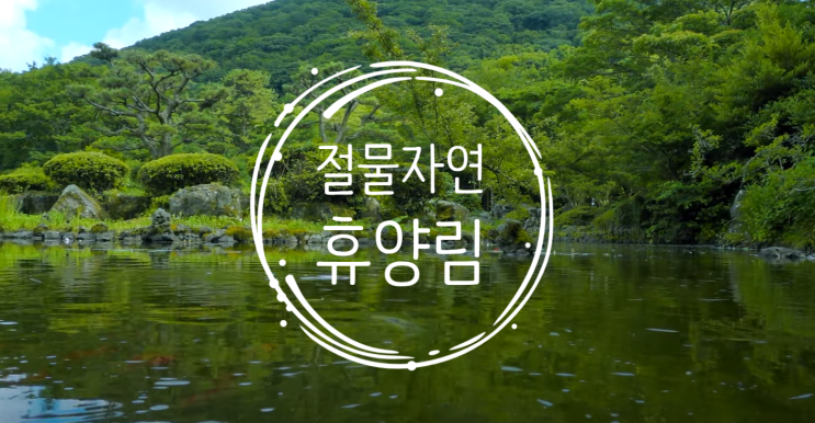  [제주] 절물자연휴양림 양대산맥 승리!