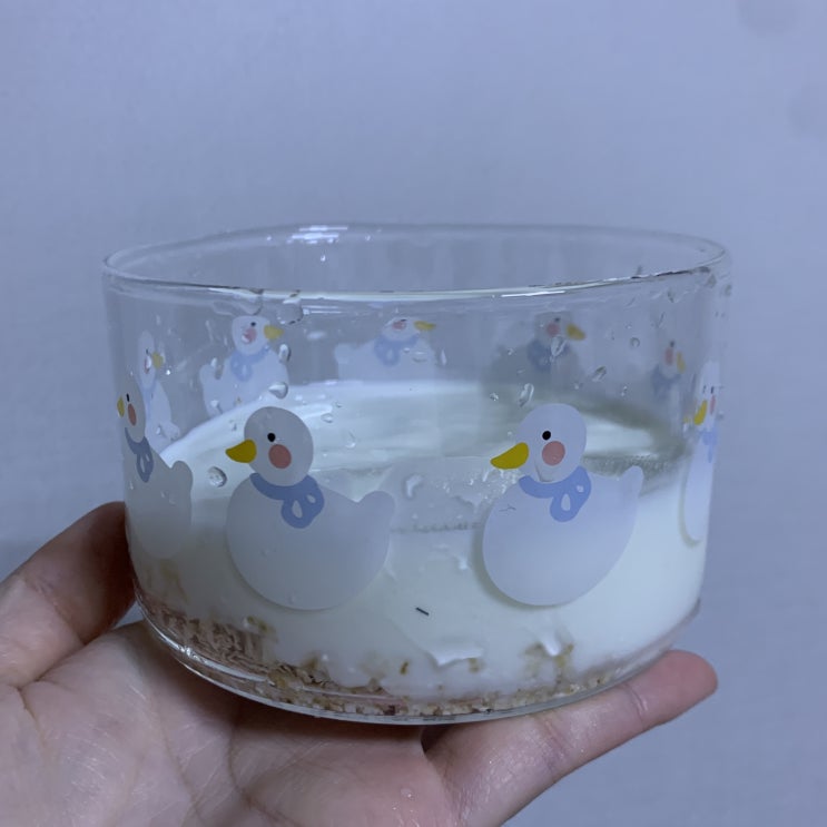 플라하반 퀵오트 오리지날 40개입