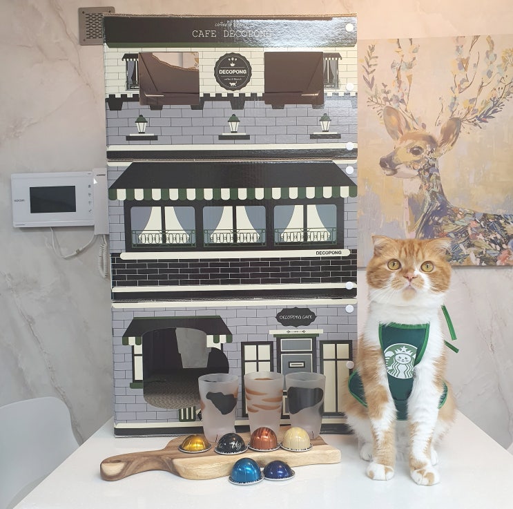 고양이집 스크래쳐까지 있는 데코퐁 모듈러 카페 귀여운 냥카페 완성