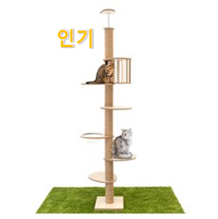  가성비템 고양이캣타워 핫 리스트 부장님이 추천했어요.