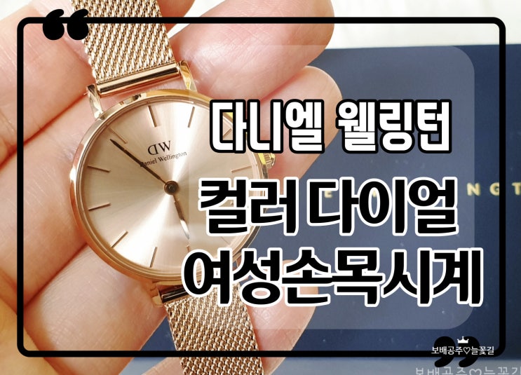다니엘 웰링턴 신제품 여자 손목시계 컬러 다이얼 출시!!