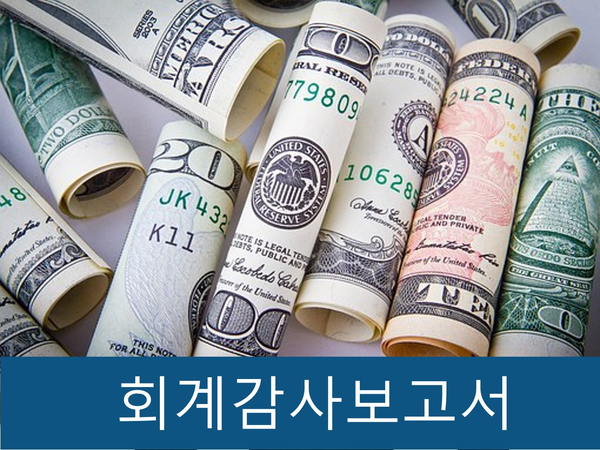  회계감사 정의 및 감사보고서 작성, 감사의견 4가지 정리!!