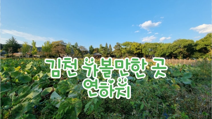 김천가볼만한곳, 김천 연하지 소박하지만 멋진 곳