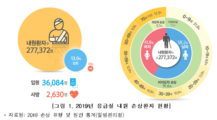  2019 손상 유형 및 원인 통계 : 응급실 기반 손상조사 감시사업 주요 결과