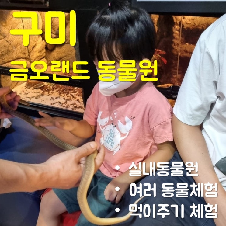  구미 금오랜드 - 동물원/아이와 가볼 만한 곳