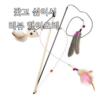  알짜배기 고양이장난감 물건 순위 초이스 완벽해요.