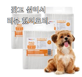  퀄리티 좋은 강아지배변패드 인기상품 리뷰 추천합니다.
