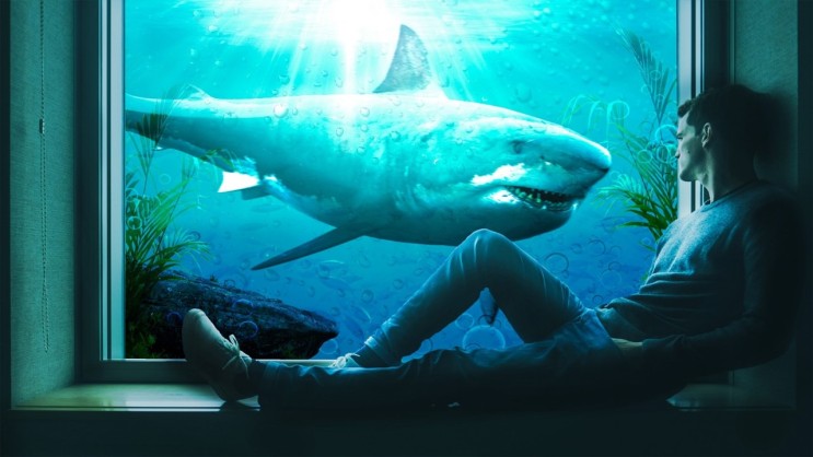 상어에게 잡혀 먹는 꿈 또는 죽은 상어를 보는 꿈 해몽 상황별 다양한 풀이 알아보기