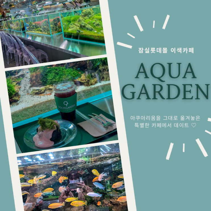  잠실 아쿠아가든카페 | 아쿠아리움을 옮겨놓은 듯한 잠실롯데몰카페 | 오징어먹물감태스콘 후기