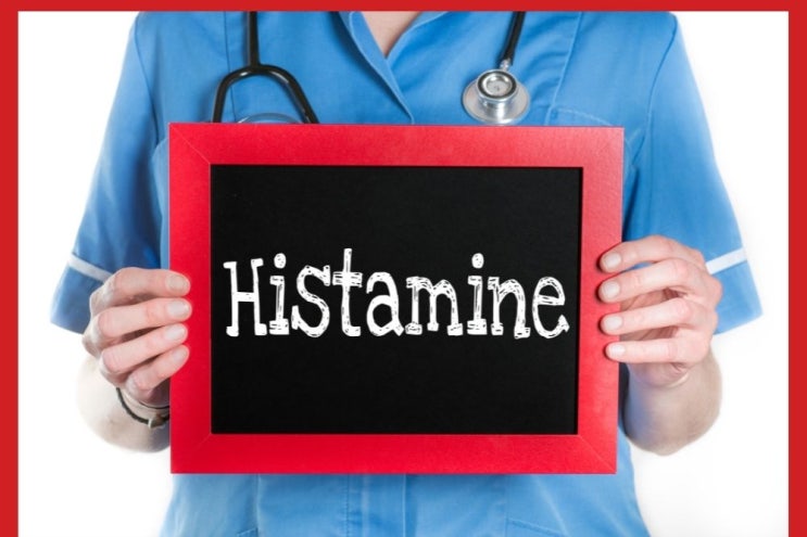  히스타민(Histamine) 피부 소양증의 원인, 천연 항히스타민 (Anti histamine)