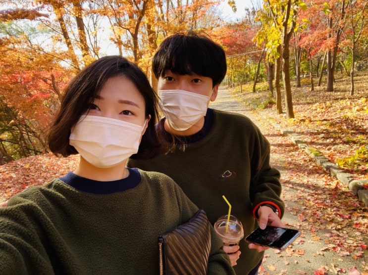  경기도 단풍구경 가볼만한 곳_용인 대장금파크, 한택식물원(+제일식당)
