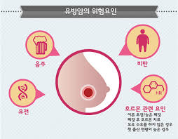  유방암 종류유형 증상특징 암크기단계 종양전이가능성 생존율사망율 상피내암 침윤성암 점액성암