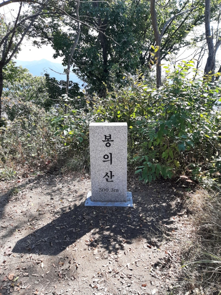  봉의산등산