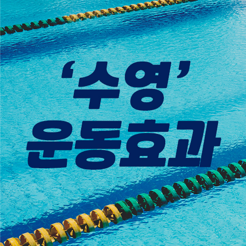 수영운동이 주는 효과는 얼마나 될까.