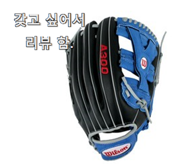  센스있는 윌슨글러브 가성비 추천 확실한 믿음이 생겼어요.