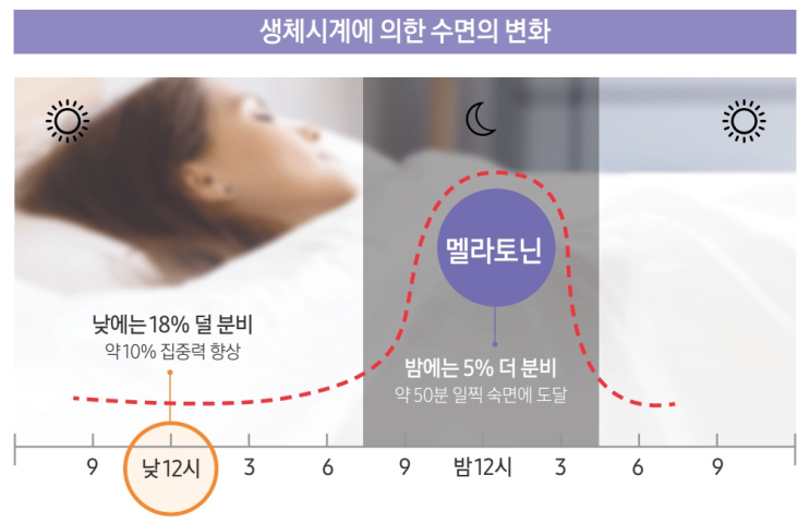  생체리듬 조명이란? 삼성전자 LED 조명