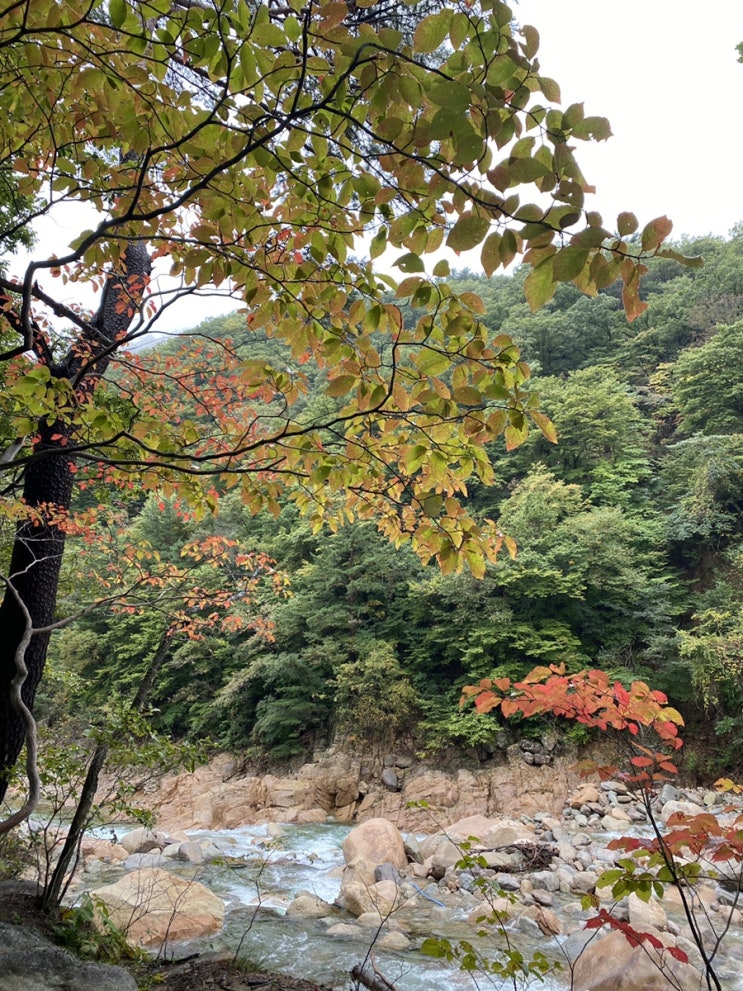 [강원도 속초 여행] 물들어 가는 설악산 국립공원