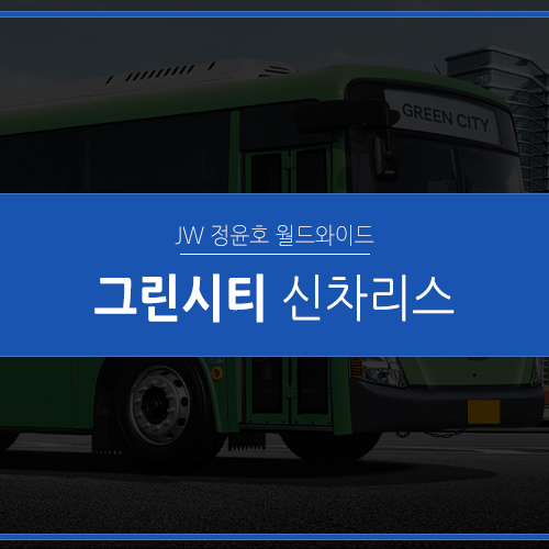  현대 그린시티 리스 현명하게 구매하는 방법!