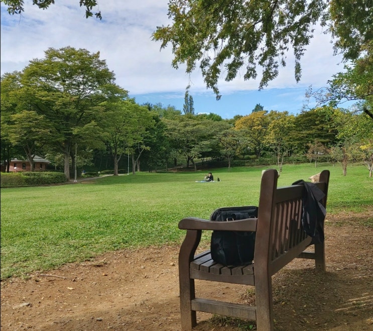 &lt;시&gt; 부드러운 직선 도종환