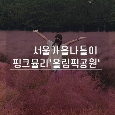 올림픽공원 핑크뮬리 서울 가을나들이 다녀왔어요
