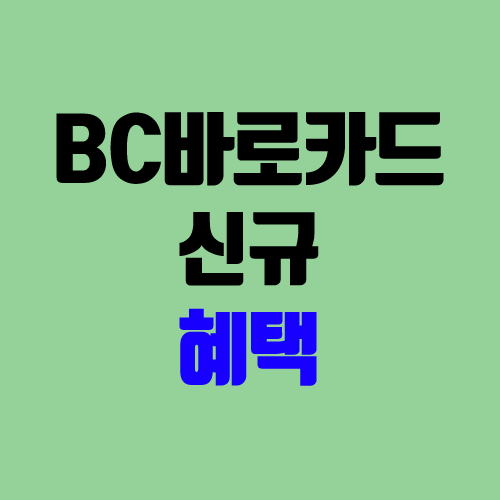 BC바로카드 종류 / BC 카드 신규 발급 혜택 (BC발급사카드)