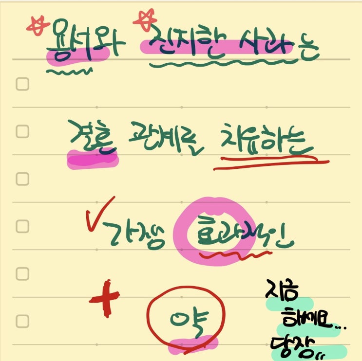  용서와 사과