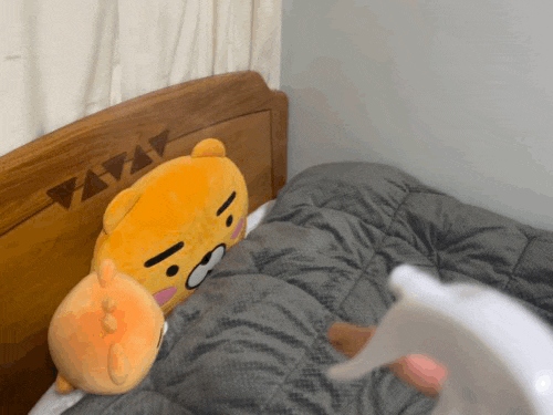  피톤치드 향 강하지 않아서 좋아