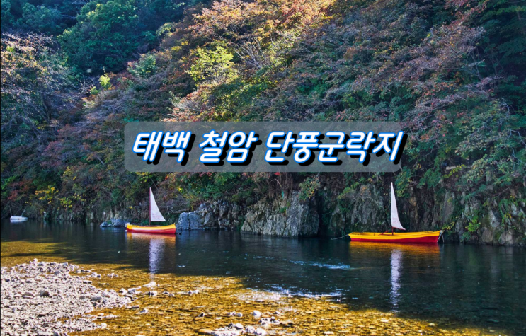 강원도 단풍명소 태백시 철암 단풍군락지 강원도 단풍명소 태백시 철암 단풍군락지