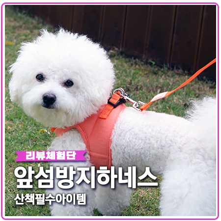 앞섬방지하네스 강아지 산책 필수품 앞섬방지하네스 강아지 산책 필수품