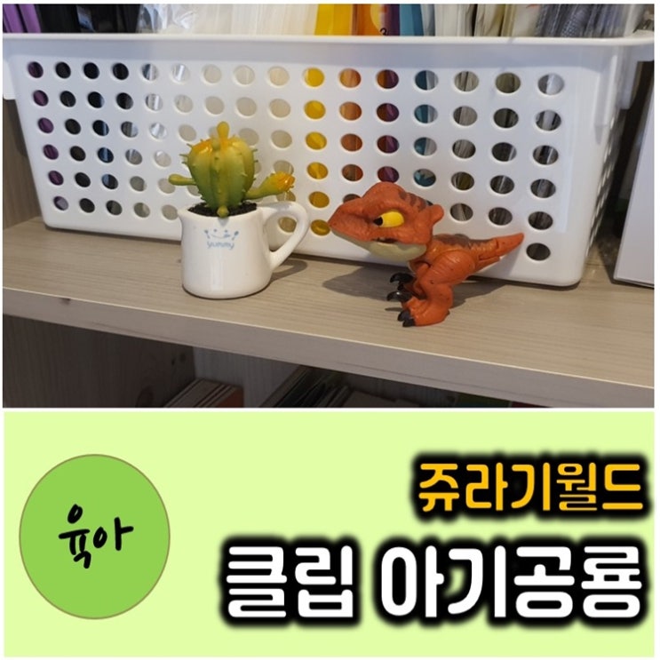  4세남아선물 마텔 쥬라기월드 공룡장난감 너로 정했다 !