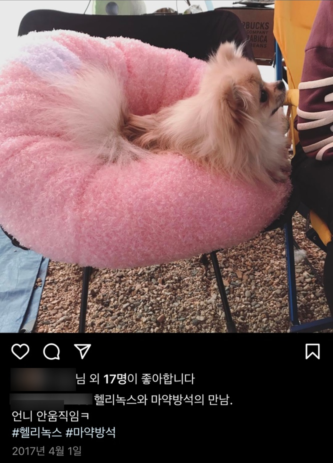  2017.04.01 충남예산 피플앤독힐링캠프