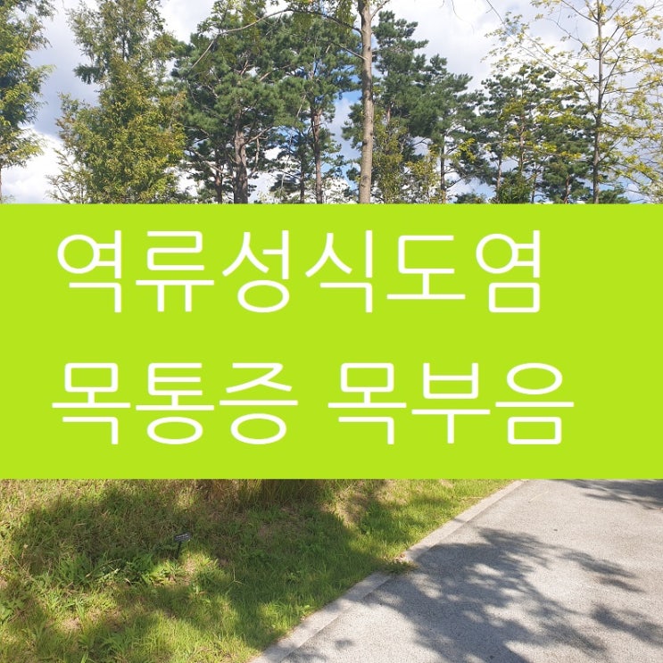  역류성식도염 목통증 목부음 후비루까지 있을 때