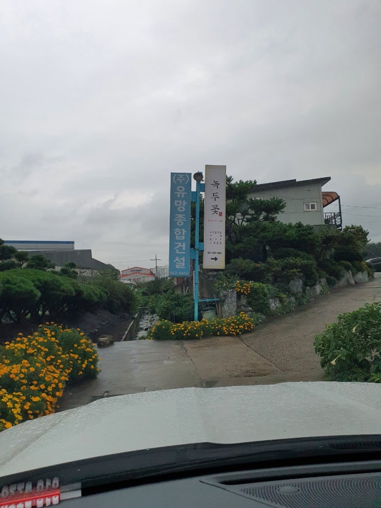  김포 운양동 녹두삼계탕 믿음가는 식당 녹두꽃