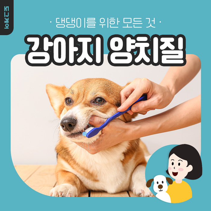  강아지 양치질 가이드