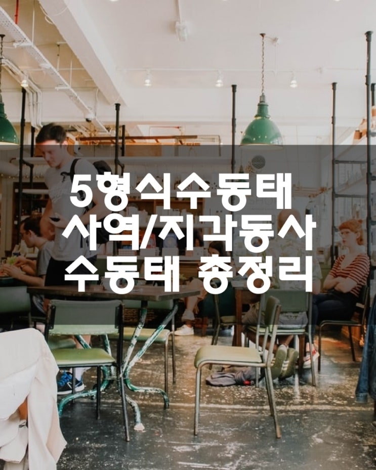  5형식수동태 총정리/사역 지각동사 수동태 예문/to부정사
