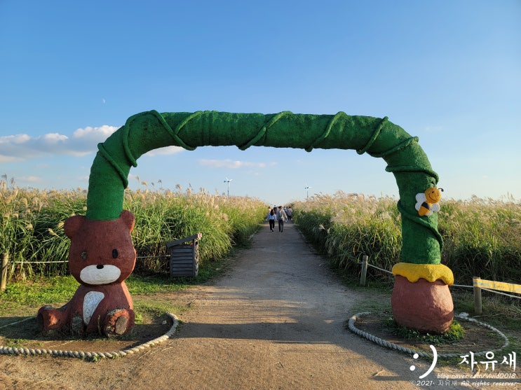  하늘공원 맹꽁이 열차 요금 위치와 이용방법