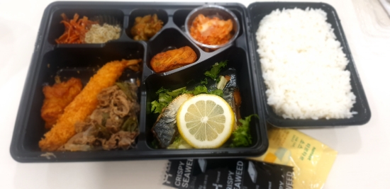  [세종 도시락 맛집] 맛있으면서도 가성비 갑인 '한솥도시락'