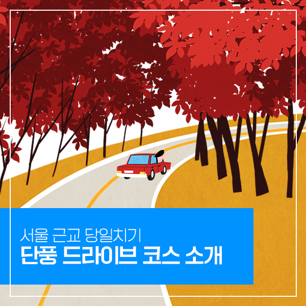 서울 근교 단풍 명소는 어디? 당일치기 가을 드라이브 코스 추천