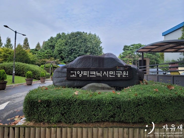  고기 구워 먹을 수 있는 고양  피크닉시민공원 예약 방법