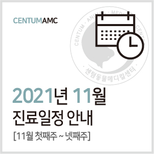 [진료일정]2021년 11월 진료 안내 (수영역 2번 출구 센텀동물메디컬센터)