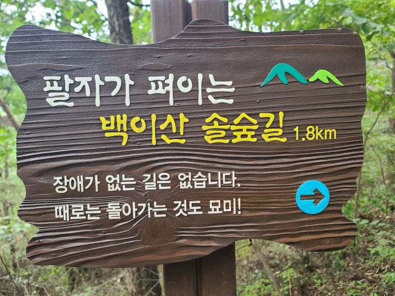 나루와 Ego산책 이야기