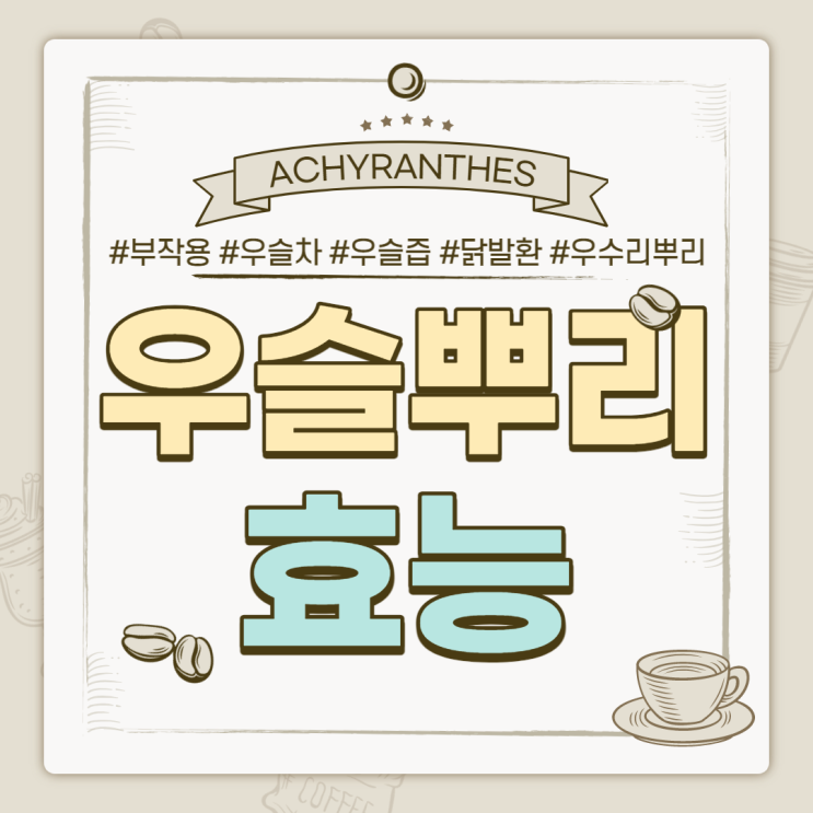  우슬뿌리 효능 및 성분, 부작용 【#우슬 #우슬초 #우슬차 #우슬즙 #우슬닭발환 #우수리뿌리】