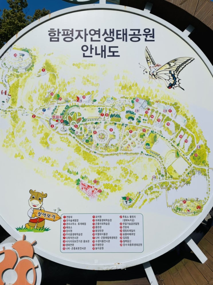 [전남여행] 광주근교 아이와 뛰어 놀수있는  함평자연생태공원