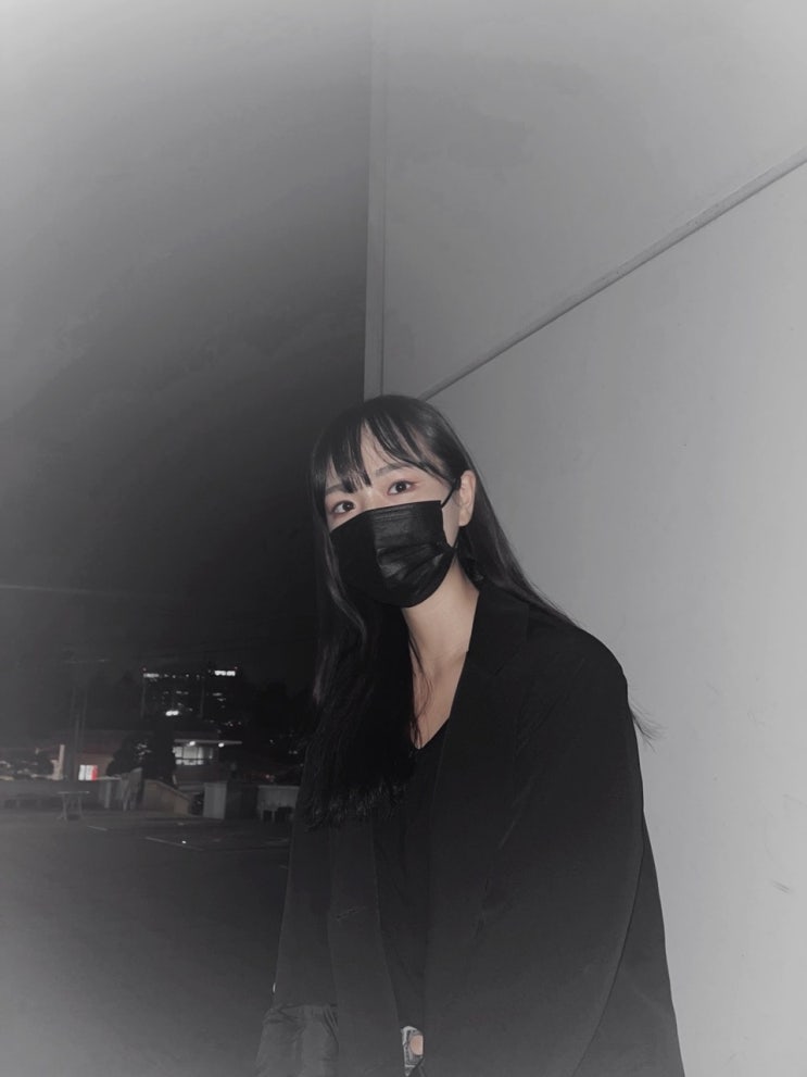  10월 근황<강아지 옷만들기,터그장난감만들기,서울월세지원당첨>