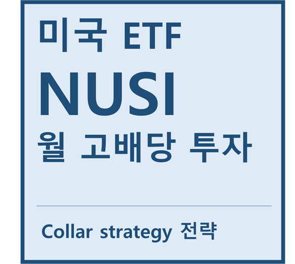  [미국ETF] "NUSI" a.k.a 월 고배당 투자 ETF (feat. 콜옵션, 풋옵션)