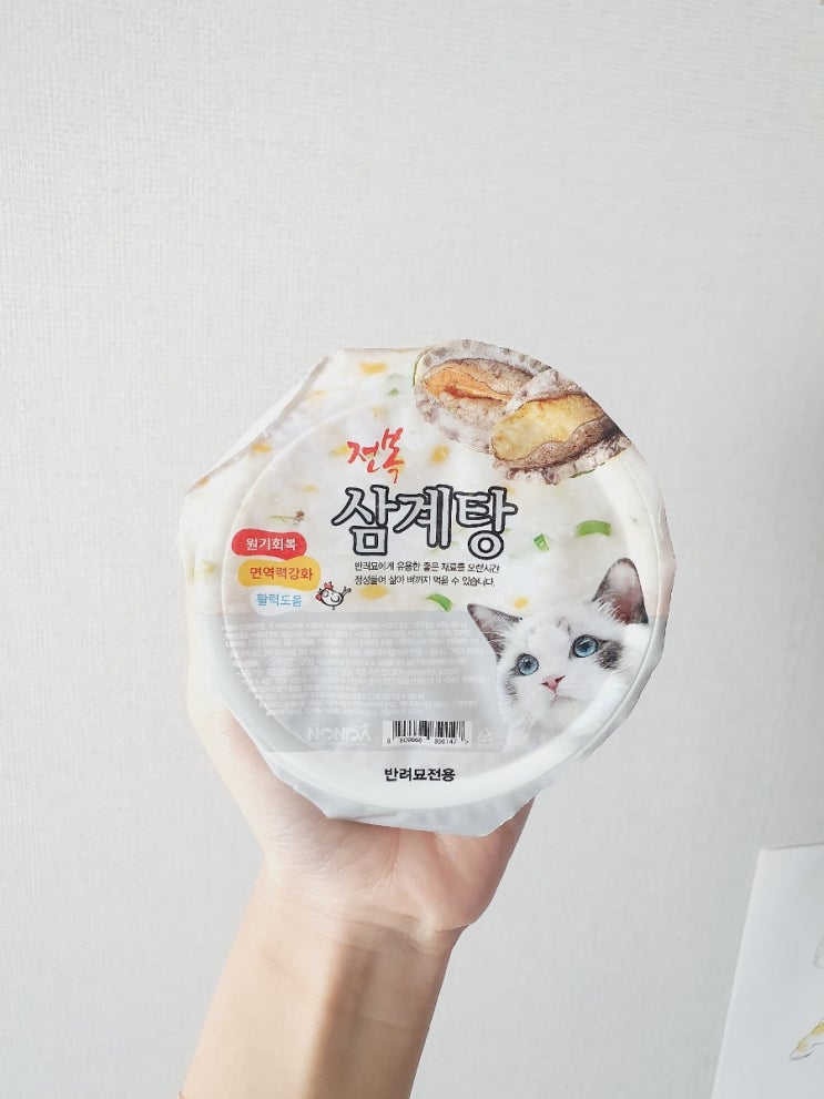  고양이 전복삼계탕