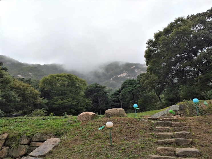  1000년된 은행나무와 5점의 보물.   비오는 날의 영동 영국사(寧國寺) 여행기